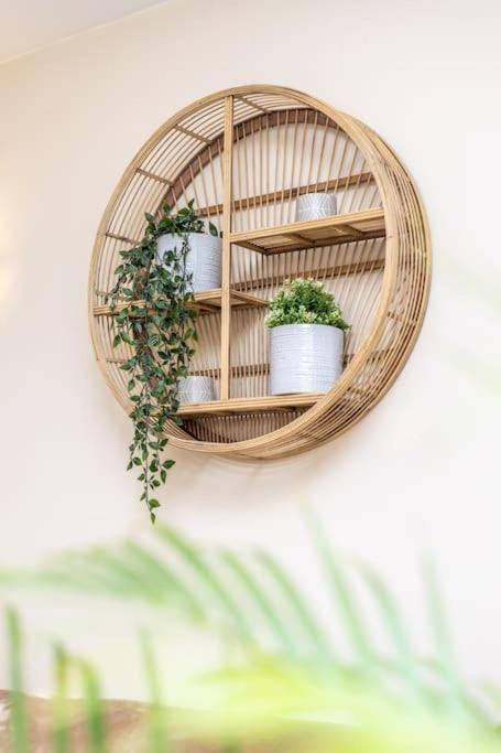 Top Studio Knokke Bij Zeedijk! Dış mekan fotoğraf